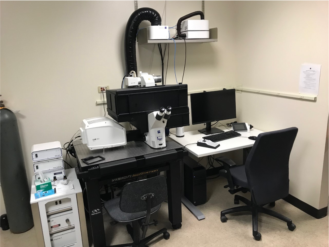 Zeiss LSM 900 Airyscan 2 Confocal Microscope – Microscopes Open Access ...